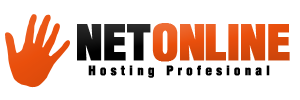 Net Online
